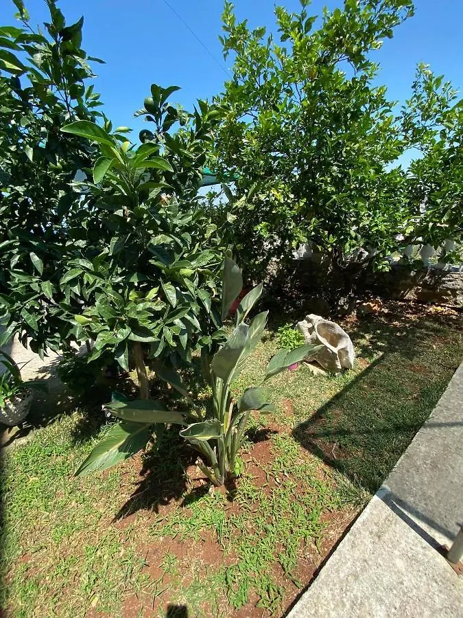 Vila Mare Mateo 卡萨米尔 0*,  阿尔巴尼亚