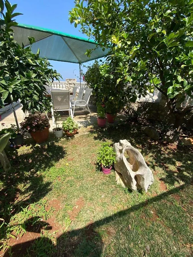 Vila Mare Mateo 卡萨米尔 招待所